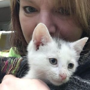 Meet your Posher, Cara